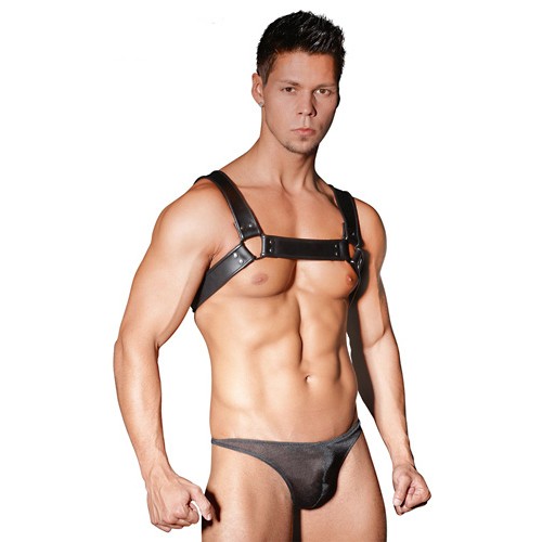 Harness aus schwarzem Leder